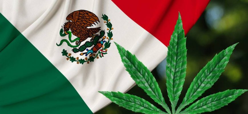 легалайз в Мексике