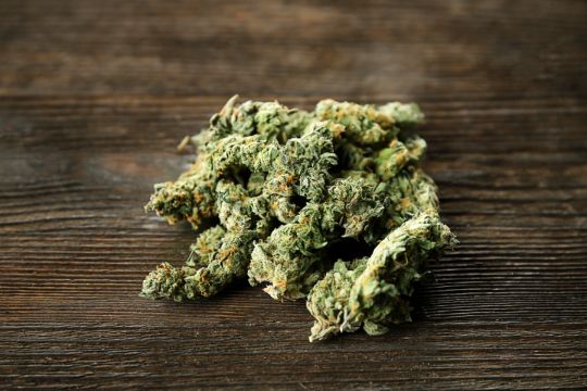 Почему медицинская марихуана еще не используется в соответствии со своим потенциалом