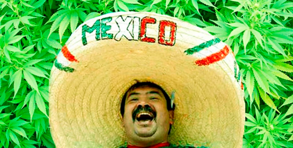 Почему легализация марихуаны в Мексике должна изменить ситуацию