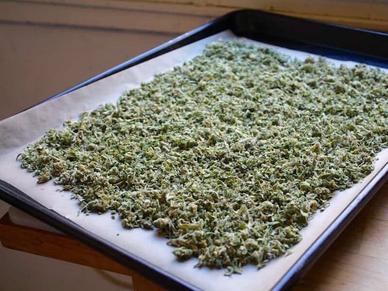 Как правильно сушить соцветия марихуаны?